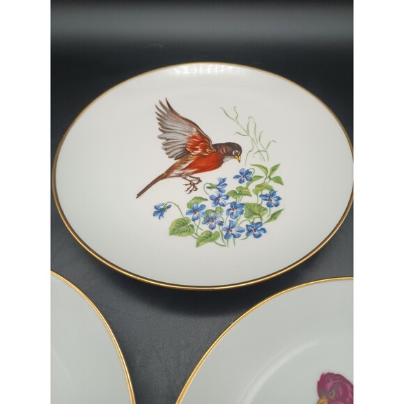 3 Vintage Bareuther Waldsassen Bavaria German Spring Birds & Flowers 8” Plates - Picture 4 of 8